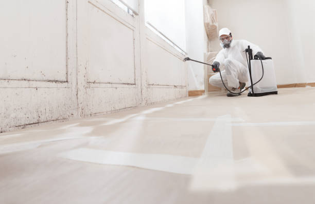 Trusted Crawl Space Mold Removal service in Freeburg, PA - WQB Mold Removal